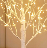 Luzes brilhantes de árvore de bétula